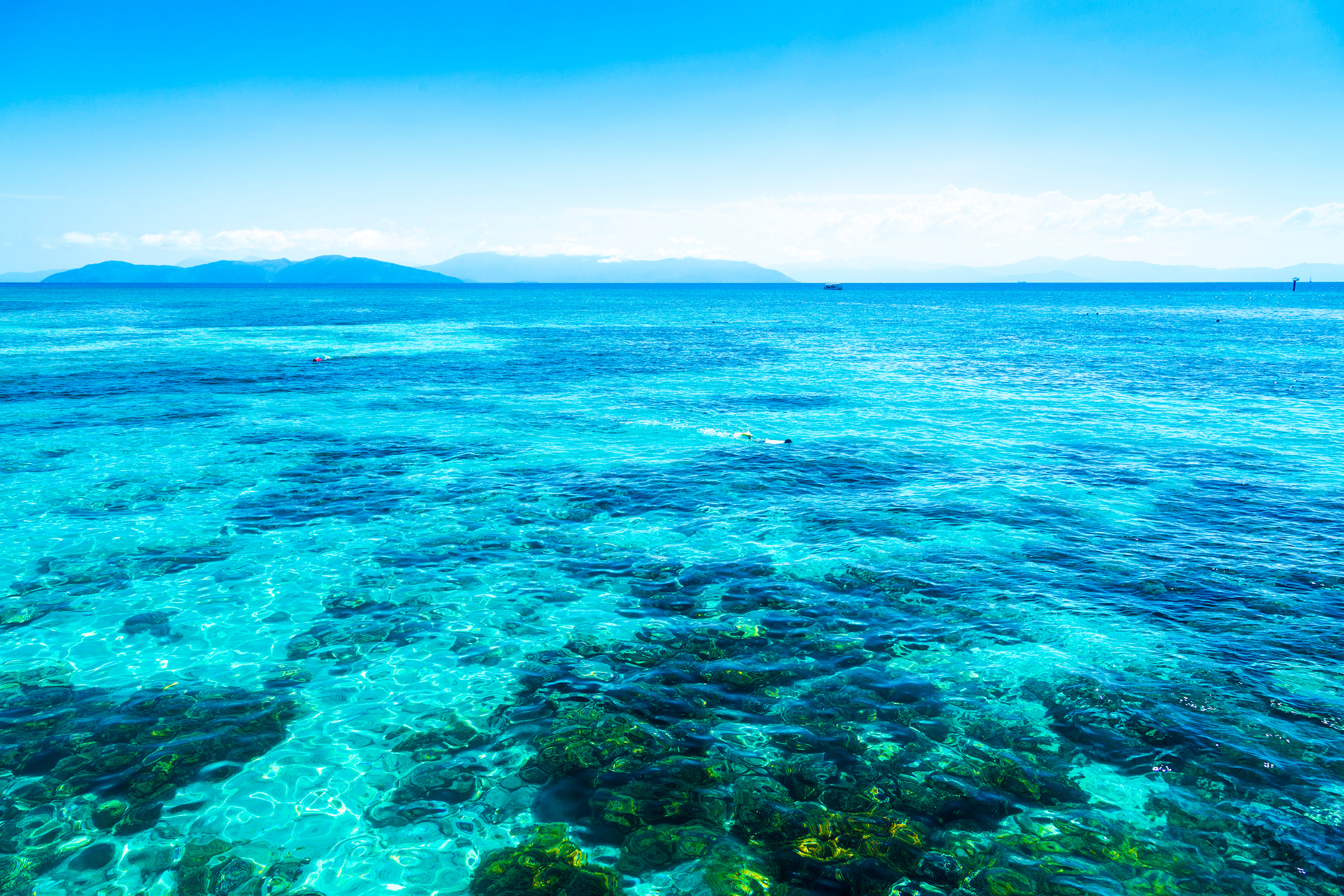 183 great barrier reef, queensland.webp